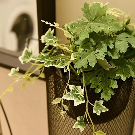 Danae Luxurious #tifhelexpo